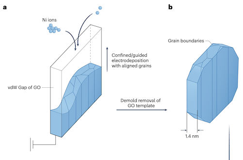 Researchers at IQMD wrote News&Views in Nature Synthesis